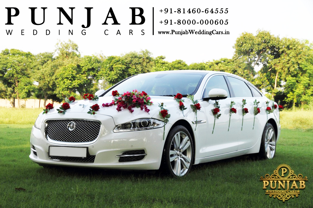 WEDDING CARS White Jaguar XJ L - Portfolio White Jaguar XJ L - Portfolio for wedding rental in Punjab, India