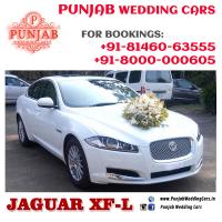 10Decorated_White_Jaguar_XF_XJL_in_punjab_jalandhar_ludhiana_phagwara_for_weddings___party_car___photoshoot___Jaguar_BMW_Audi_weddings_cars.jpg