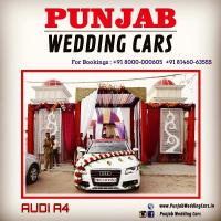 14Audi_Wedding_Cars_for_rent_Jalandhar_Phagwara_Bathinda_Sangroor_Punjab.JPG