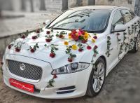 1Jaguar_xjl_punjab_wedding_cars_jalandhar_bhogpur.jpeg
