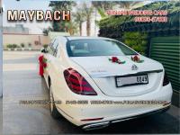 4mercedes-maybach-white-punjab-wedding-car-jalandhar-phagwara-ludhiana-rear-view.jpg