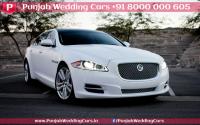 8jaguar_xjl_white_Punjab_wedding_cars_jalandhar_punjab_india_4.jpg