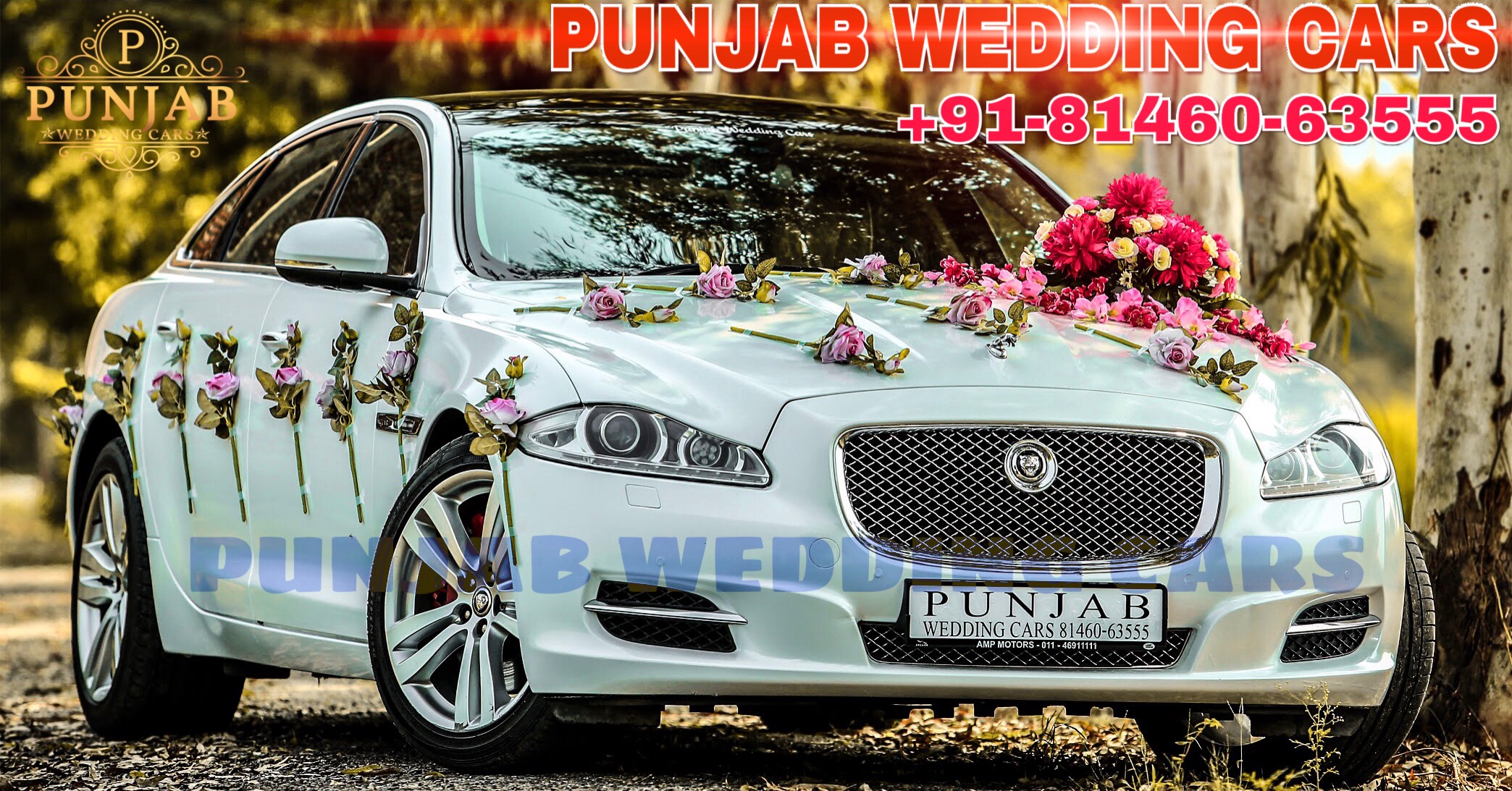 WEDDING CARS Jaguar XJL wedding cars Punjab Jaguar XJL wedding cars Punjab for wedding rental in Punjab, India