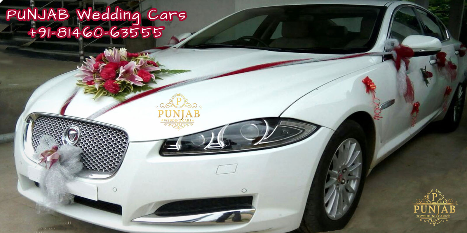 WEDDING CARS - White Jaguar XF Luxury Edition Decorated Available in Chandigarh, Jalandhar, Ludhiana, Amritsar, Barnala, Bathinda, Hoshiarpur, Faridkot, Fatehgarh Sahib, Fazilka, Firozpur, Gurdaspur, Kapurthala, Mansa, Moga, Ajitgarh, Ropar, Muktsar, Shahid Bhagat Singh Nagar(first known as Nawan Shahr), Sangrur, Patiala, Pathankot, Tarn Taran
