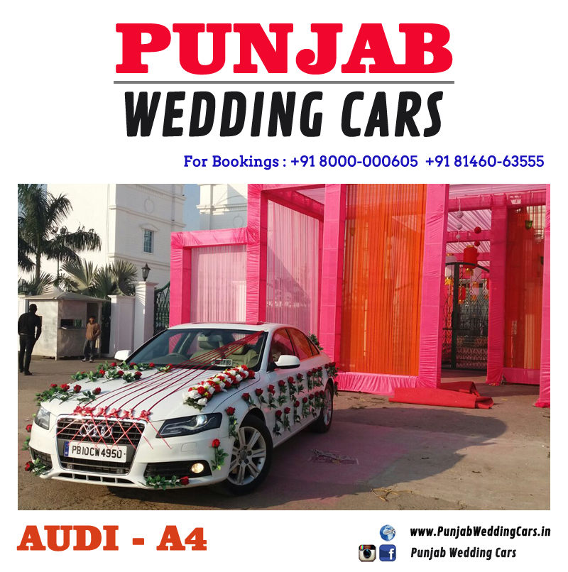 WEDDING CARS DECORATED AUDI - 6 RIBBONS DECORATED AUDI - 6 RIBBONS for wedding rental in Punjab, India